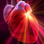Ишемическая болезнь сердца: механизм поражения, факторы риска
