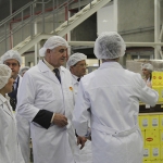 Скандал: Nestle відкликає продукцію з кониною