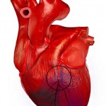 Ассоциация кардиологов: в Украине невозможно помочь больным с инфарктом миокарда