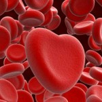 Мужская сексуальность и группа крови