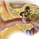 Аномалии и пороки развития уха