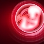 Контроль рождаемости, как метод котрацепции