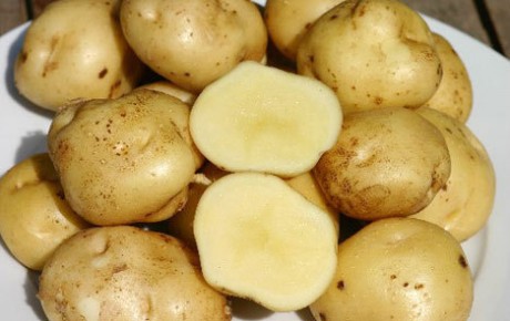 Картофель Картофель