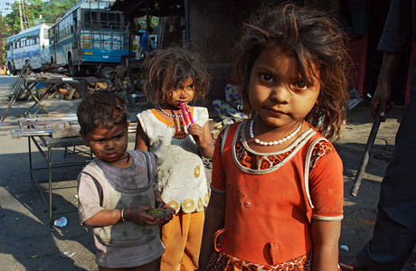 В Индии от японского энцефалита умерло 500 детей