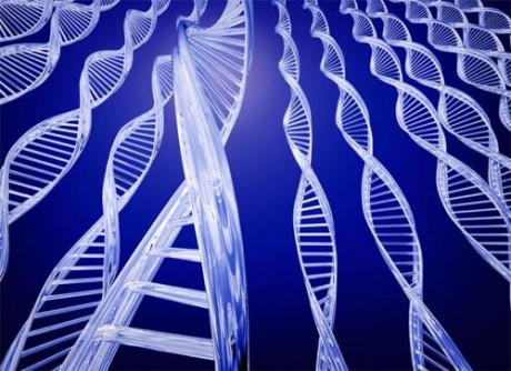 Ученые научились лечить гемофилию методом генной терапии