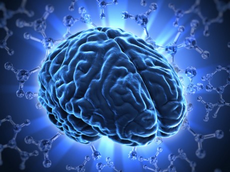 Ученые научились омолаживать пожилой мозг