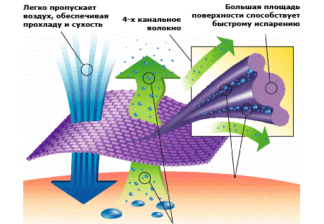 воспитание и развитие