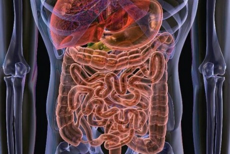 Дисбактериоз кишечника: симптомы и диагностика  