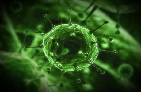 Чем опасен цитомегаловирус