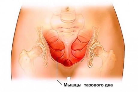 Упражнения для интимных мышц