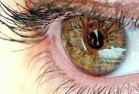 Как определить болезни организма по состоянию глаз